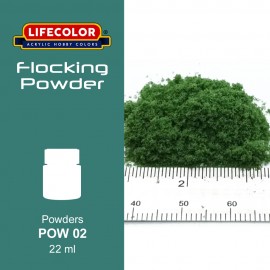 Polveri Lifecolor POW02